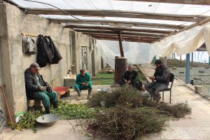 گوشه ای از فعالیت واحد تولیدات شهرداری ملارد