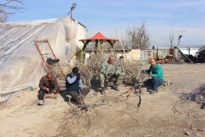 گوشه ای از فعالیت واحد تولیدات شهرداری ملارد