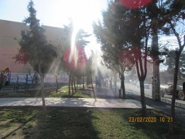 آغاز عملیات سمپاشی زمستانه درختان غیر مثمر در شهر ملارد