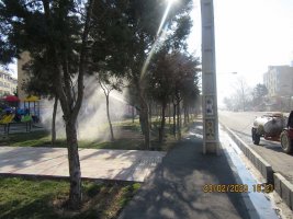 آغاز عملیات سمپاشی زمستانه درختان غیر مثمر در شهر ملارد