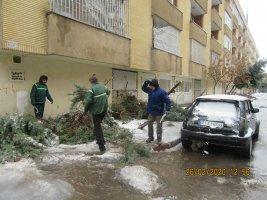 آماده باش سازمان سازمان سیما،منظر و فضای سبز ملارد
