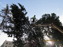 آماده باش سازمان سازمان سیما،منظر و فضای سبز ملارد