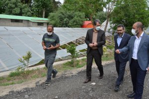 شهردار ملارد از گلخانه بخش تکثیر و قلمه سازمان سیما، منظر و فضای سبز شهری شهرداری ملارد بازدید نمود.