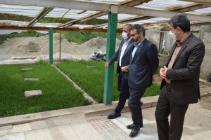 شهردار ملارد از گلخانه بخش تکثیر و قلمه سازمان سیما، منظر و فضای سبز شهری شهرداری ملارد بازدید نمود.