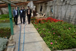 شهردار ملارد از گلخانه بخش تکثیر و قلمه سازمان سیما، منظر و فضای سبز شهری شهرداری ملارد بازدید نمود.