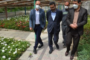 شهردار ملارد از گلخانه بخش تکثیر و قلمه سازمان سیما، منظر و فضای سبز شهری شهرداری ملارد بازدید نمود.