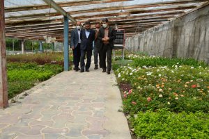 شهردار ملارد از گلخانه بخش تکثیر و قلمه سازمان سیما، منظر و فضای سبز شهری شهرداری ملارد بازدید نمود.