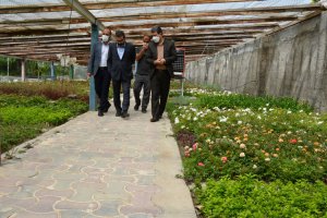 شهردار ملارد از گلخانه بخش تکثیر و قلمه سازمان سیما، منظر و فضای سبز شهری شهرداری ملارد بازدید نمود.