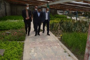 شهردار ملارد از گلخانه بخش تکثیر و قلمه سازمان سیما، منظر و فضای سبز شهری شهرداری ملارد بازدید نمود.