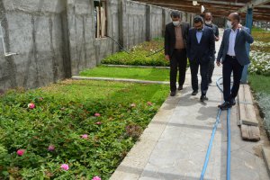 شهردار ملارد از گلخانه بخش تکثیر و قلمه سازمان سیما، منظر و فضای سبز شهری شهرداری ملارد بازدید نمود.