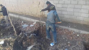 واکاری درختان چنار در فاز سه مارلیک