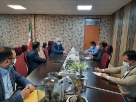 برگزاری جلسه ای مشترک در خصوص هرس درختان