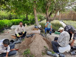 تولید ۷۰۰۰ گلدان گل نسترن در شهرداری ملارد