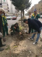 کاشت نهال در بلوارهای شهر ملارد آغاز شد