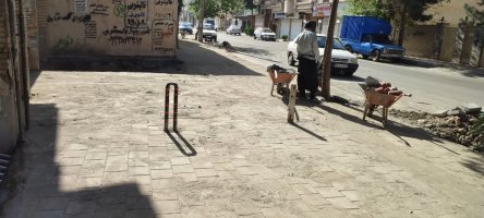 اجرای کفپوش در پیادهروی خیابان کسری