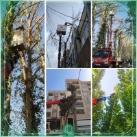 اجرای عملیات هرس درختان و شاخه های مزاحم و خشک در محدوده و حریم شهر 