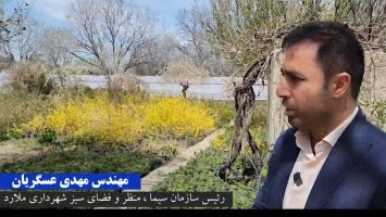 اقدامات گسترده سازمان فضای سبز شهرداری ملارد در حوزه تولیدات و تلاش برای خودکفایی و تکثیر انواع گل و گیاه