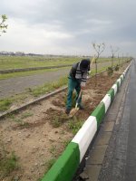 اقدامات سازمان سیما،منظروفضای سبز شهری ملارد در فروردین 99
