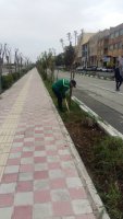 اقدامات سازمان سیما،منظروفضای سبز شهری ملارد در فروردین 99