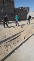 غرس درختان غیر مثمر در حاشیه بلوار شهیدان شوریابی