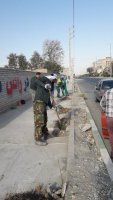 اجرای کاشت نهال غیر مثمر در بلوار شهید مطهری
