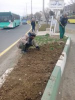 در فصل زمستان حفظ و نگهداری فضای سز شهر ملارد همچنان ادامه دارد