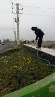 در فصل زمستان حفظ و نگهداری فضای سز شهر ملارد همچنان ادامه دارد