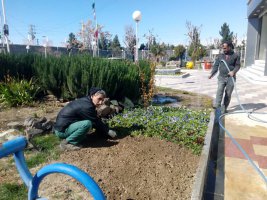 در فصل زمستان حفظ و نگهداری فضای سز شهر ملارد همچنان ادامه دارد