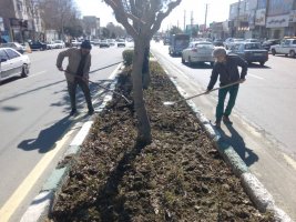 در فصل زمستان حفظ و نگهداری فضای سز شهر ملارد همچنان ادامه دارد