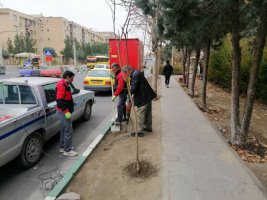 نصب تابلو و مشخص نمودن محدوده ایستگاه، تاکسی و اتوبوس مارلیک