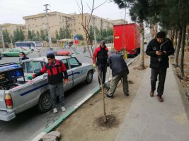 نصب تابلو و مشخص نمودن محدوده ایستگاه، تاکسی و اتوبوس مارلیک