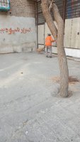  بیستمین مرحله از طرح جمعه های جهادی شهرداری ملارد