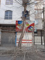  بیستمین مرحله از طرح جمعه های جهادی شهرداری ملارد