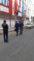  بیستمین مرحله از طرح جمعه های جهادی شهرداری ملارد