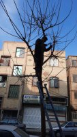  بیستمین مرحله از طرح جمعه های جهادی شهرداری ملارد