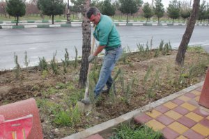 جمعه دیگر با کار جهادی