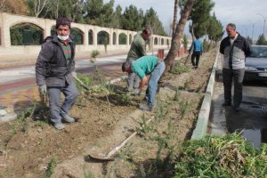 جمعه دیگر با کار جهادی