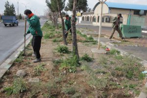 جمعه دیگر با کار جهادی