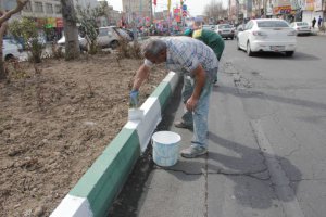 جمعه دیگر با کار جهادی