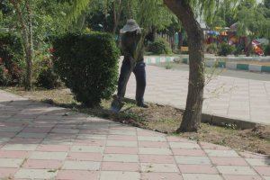 پنجمین مرحله از طرح محله محور جمعه های جهادی شهرداری ملارد به اجرا درآمد.