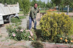 پنجمین مرحله از طرح محله محور جمعه های جهادی شهرداری ملارد به اجرا درآمد.