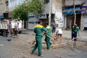 مرحله ای دیگر  از طرح محله محور جمعه های جهادی در هفته اول مرداد ماه سال 1401 شهرداری ملارد 