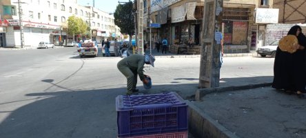 طرح طعمه گذاری حیوانات موذی در سطح شهر